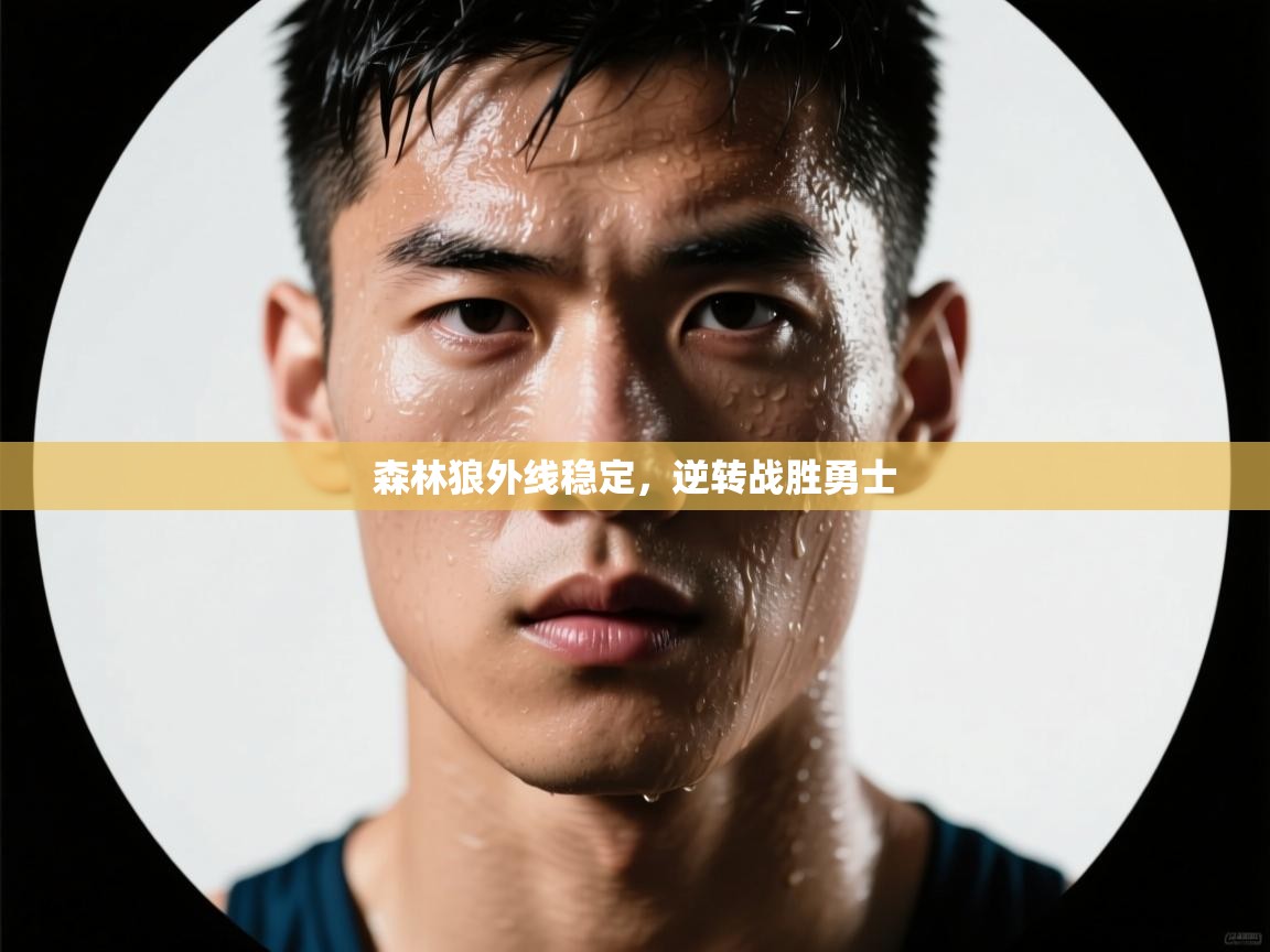 开云体育账号申诉通道-森林狼外线稳定，逆转战胜勇士  第2张