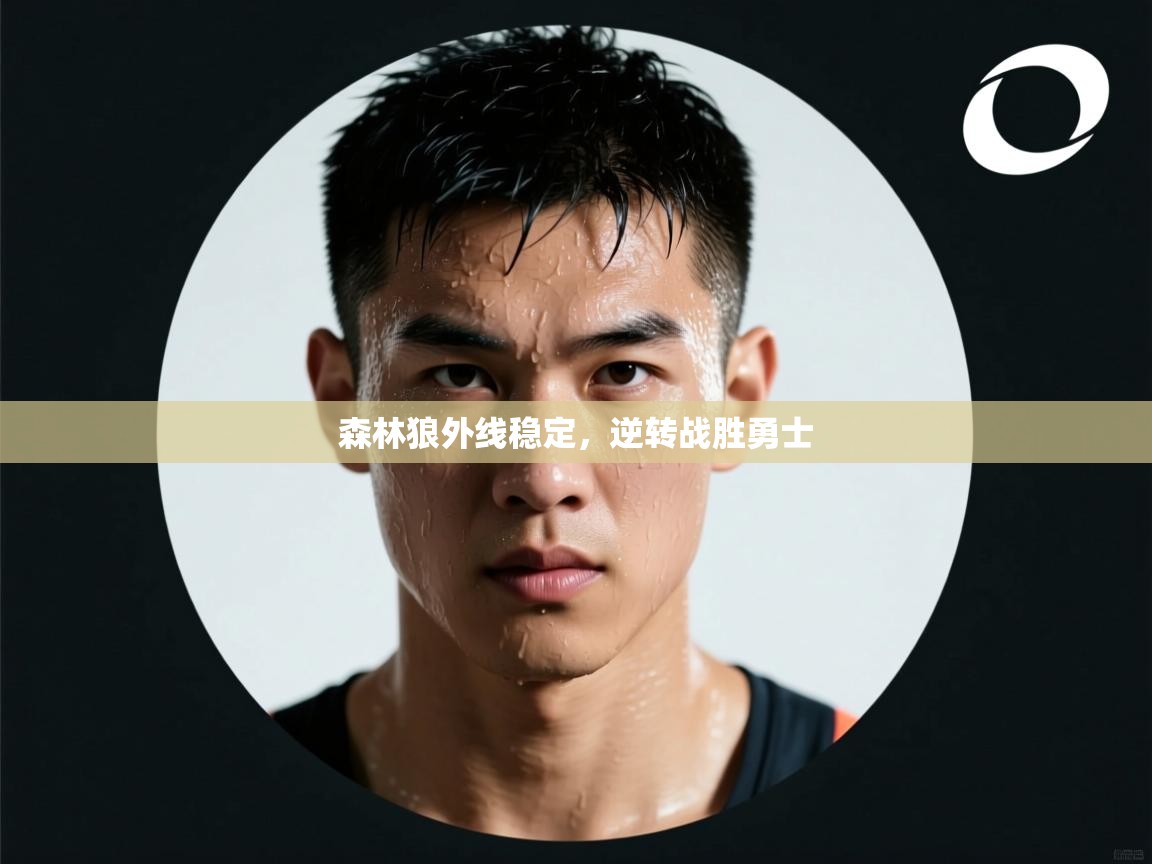 开云体育账号申诉通道-森林狼外线稳定，逆转战胜勇士  第3张